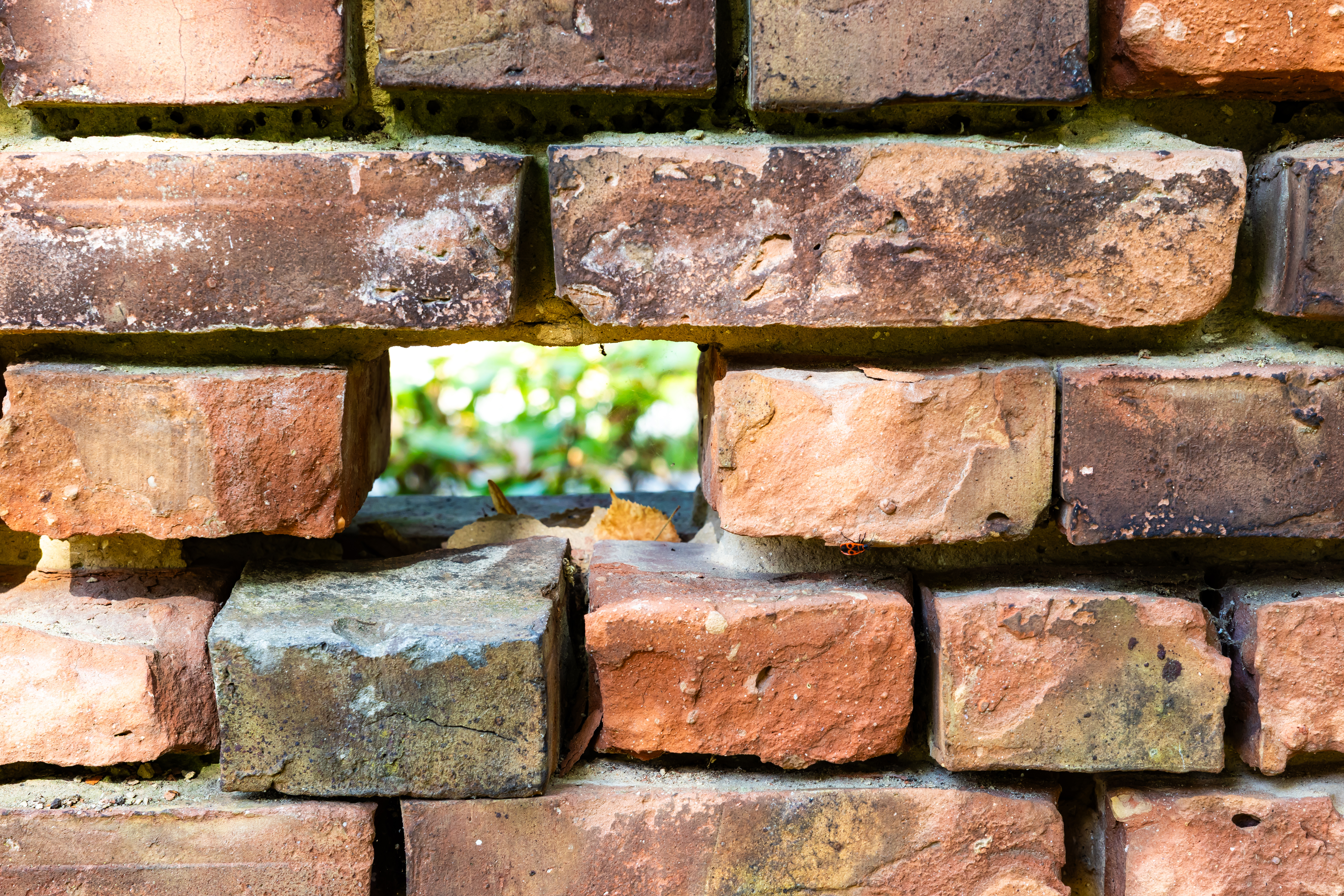 6-year-old girl breaks leg after getting hit by falling bricks in Queens — Gothamist, Waco Community news
