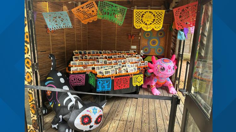Cameron Park Zoo honoring past animals with ofrenda — Waco Community news